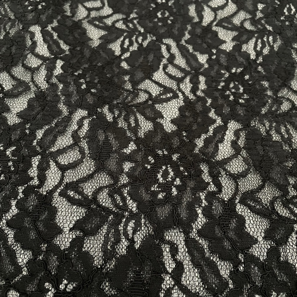 The Limited Lace Skirt - Picture 3 of 10